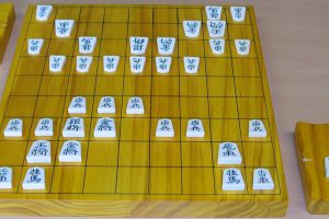 Shogi: Better than Chess?